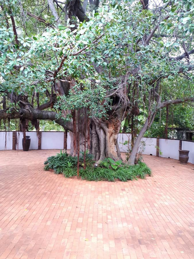 Bush Lovers Lodge Modimolle Dış mekan fotoğraf
